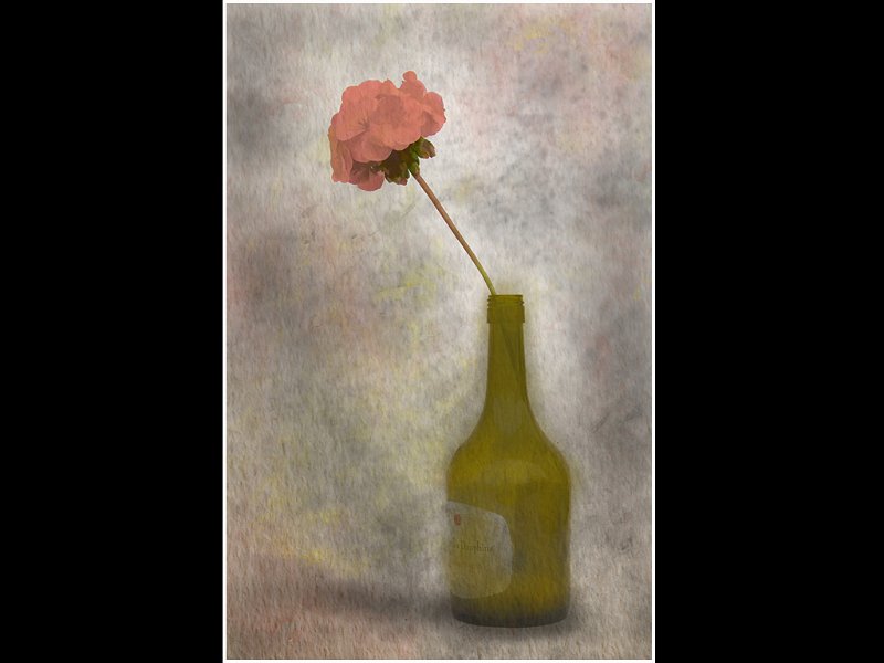 77 - flower in a bottle - MORRIS Alan - great britain.jpg